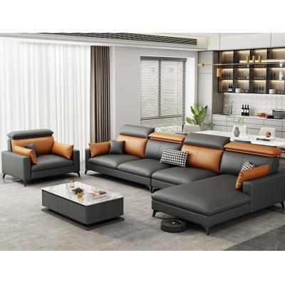 Color contrast sofa